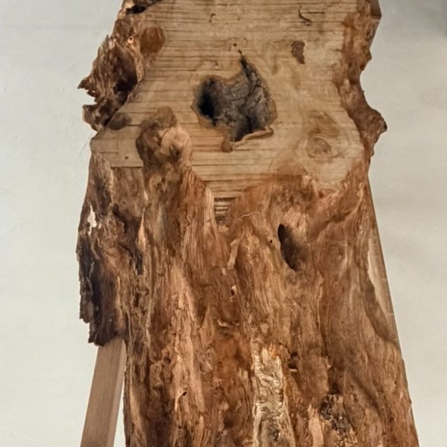 Comment Cay Design choisit le plateau bois pour une table rivière